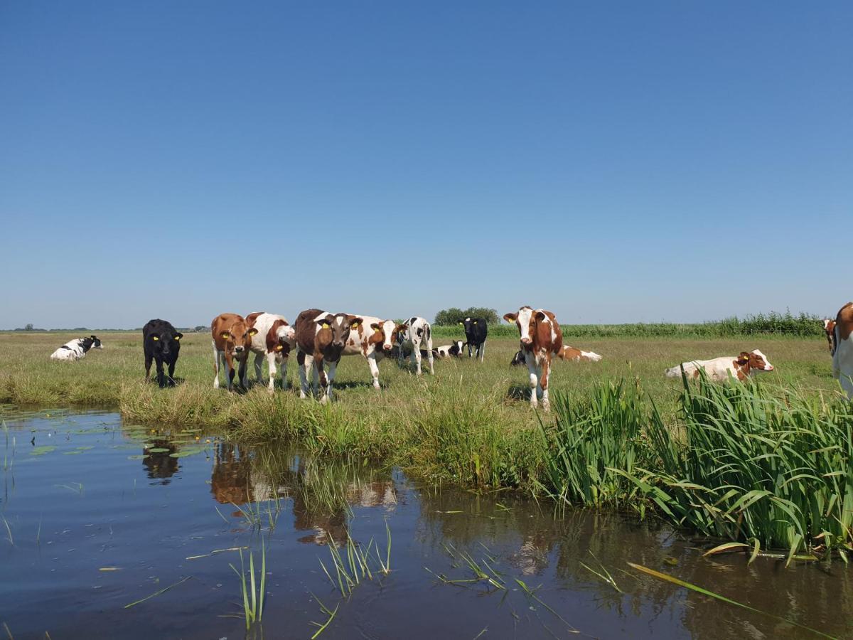 Vakantiehuisje 'T Wiede Blokzijl Exteriör bild
